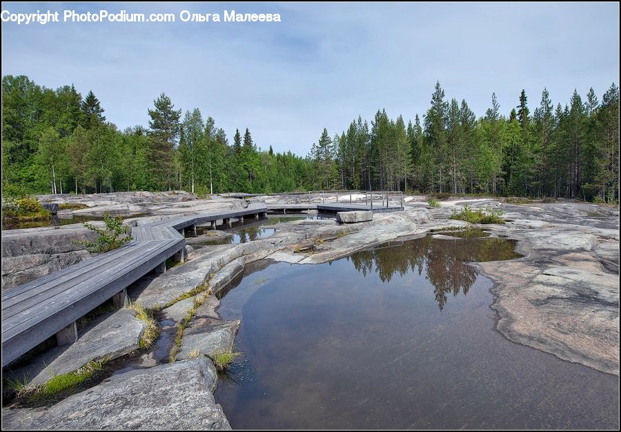 Outdoors, Pond, Water, Creek, River, Forest, Vegetation