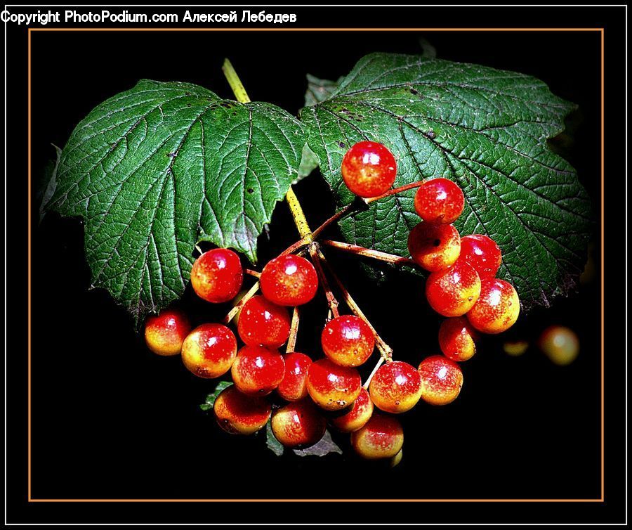 Fruit, Strawberry, Cherry, Grapes