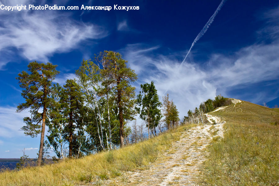 Dirt Road, Gravel, Road, Field, Grass, Grassland, Land