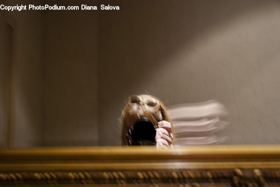 Animal, Beagle, Canine, Dog, Hound, Mammal, Pet