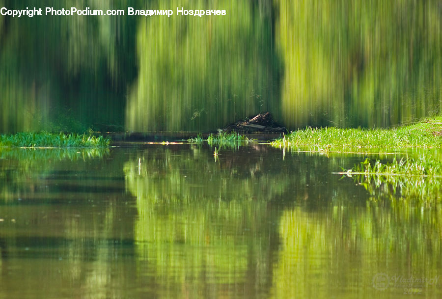 Field, Grass, Grassland, Plant, Outdoors, Pond, Water