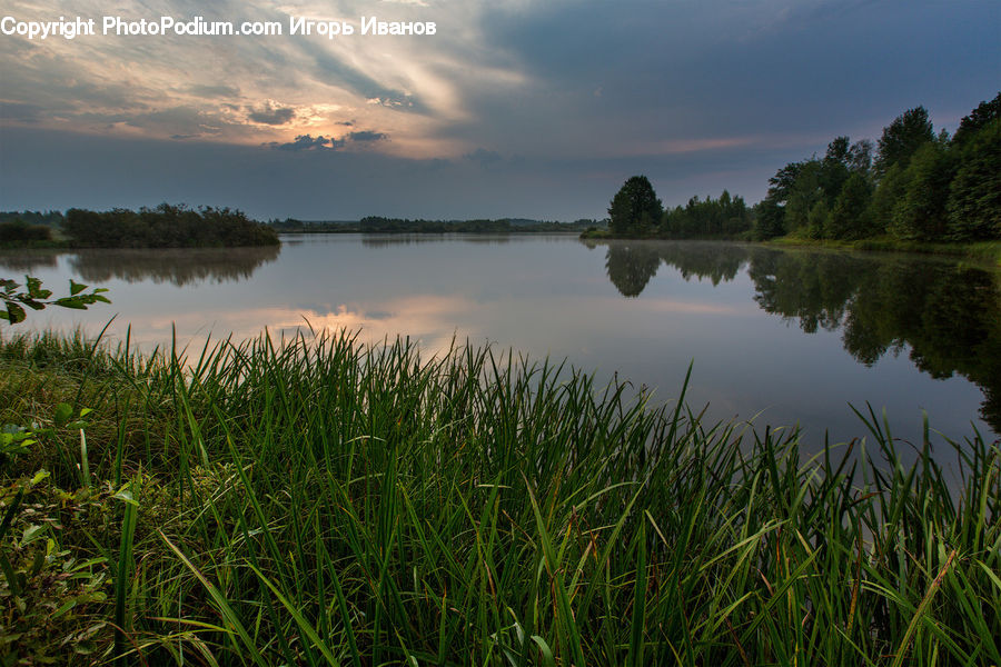 Lake, Outdoors, Water, Field, Grass, Grassland, Plant