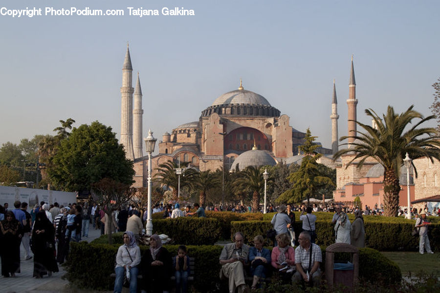 Umbrella, Architecture, Dome, Mosque, Worship, People, Person