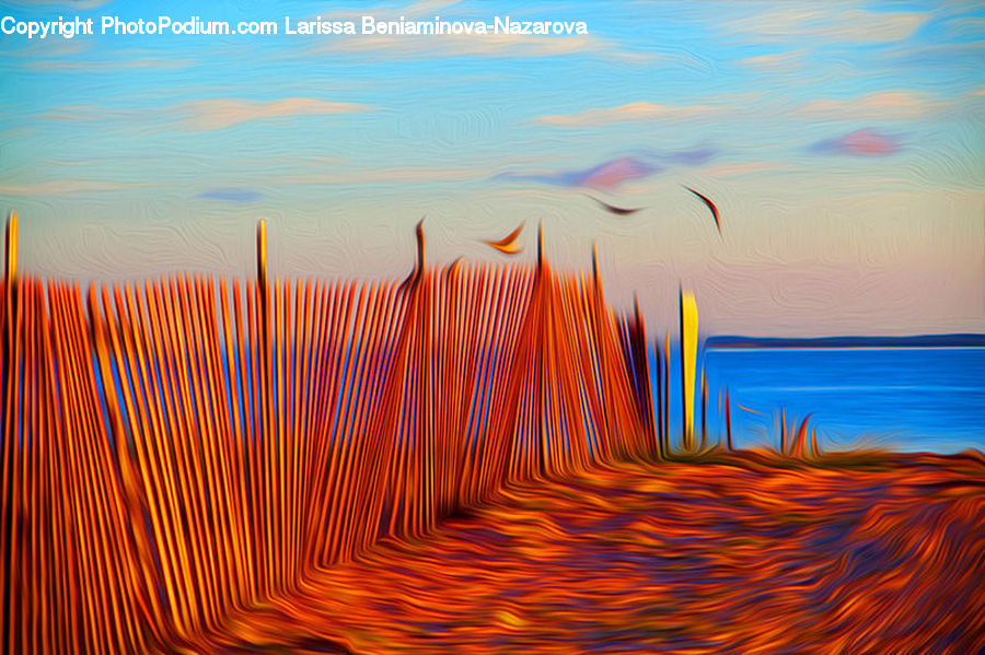 Coast, Outdoors, Sea, Water, Beach, Sand, Soil
