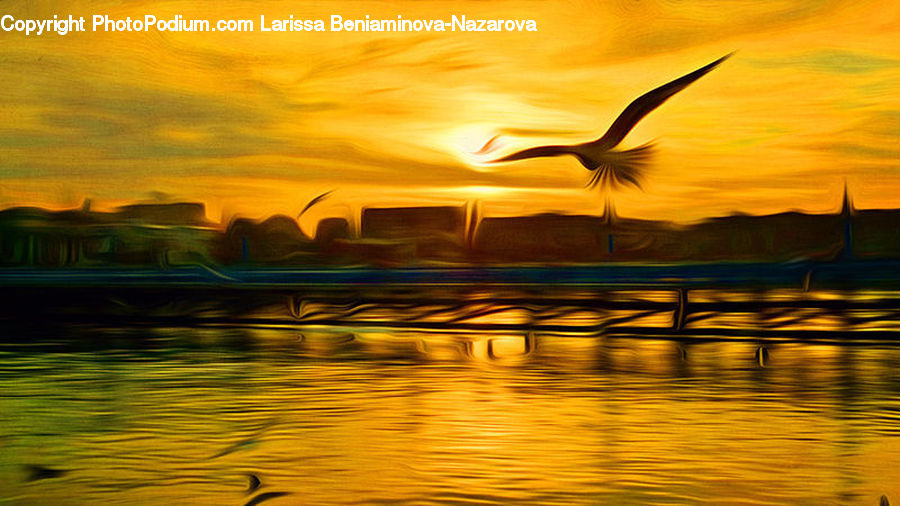Bird, Crane Bird, Heron, Dusk, Outdoors, Sky, Sunlight