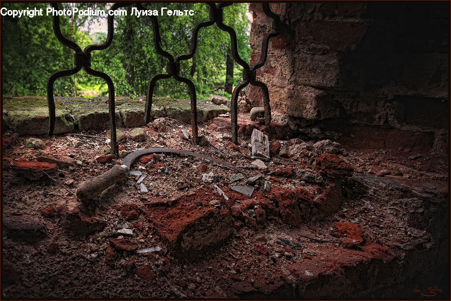 Rubble, Bench, Soil, Reptile, Snake, Plant, Tree