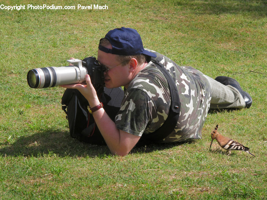 People, Person, Human, Photographer
