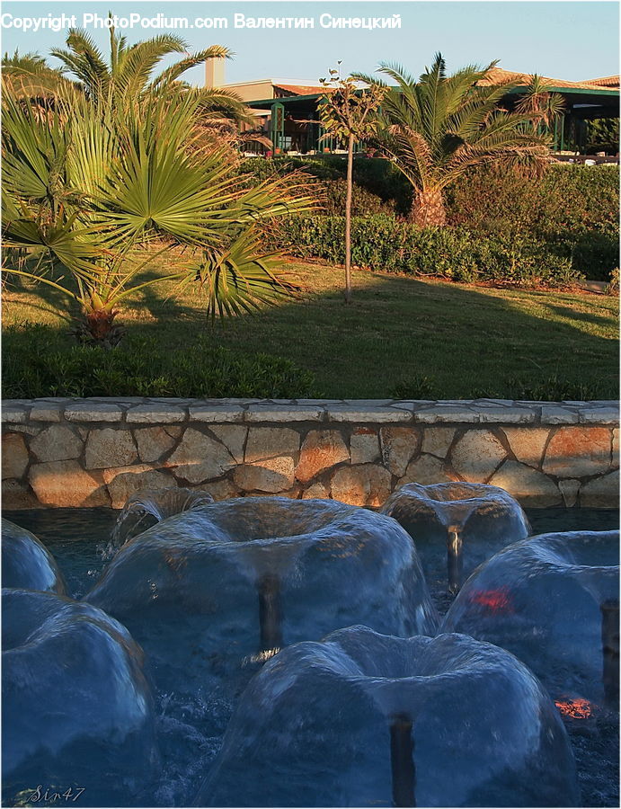 Art, Painting, Fountain, Water, Arecaceae, Palm Tree, Plant
