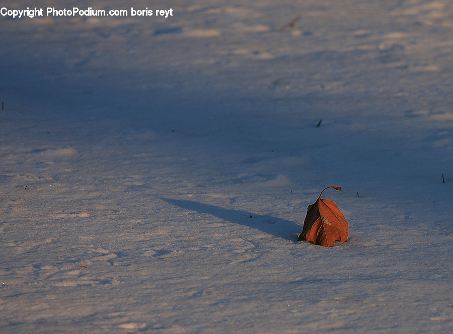Boat, Dinghy, Camping, Tent, Land, Outdoors, Plateau