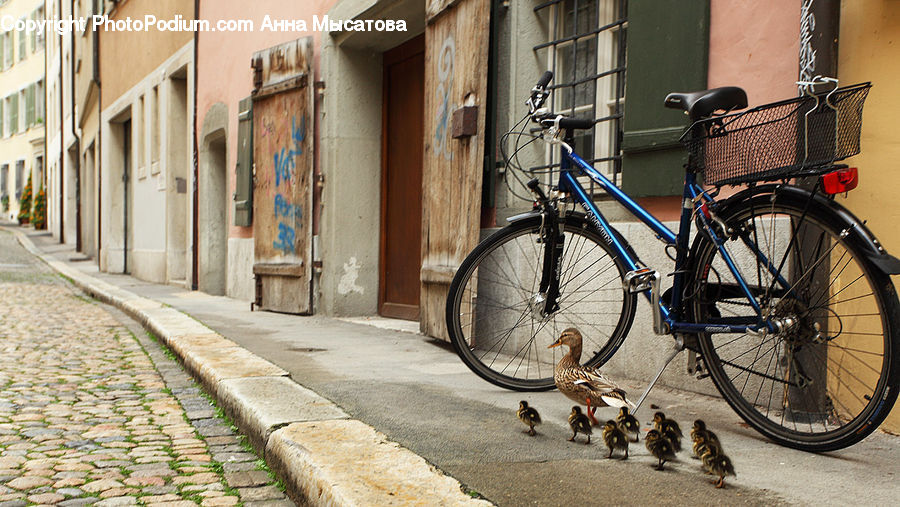Bicycle, Bike, Mountain Bike, Vehicle, Cobblestone, Pavement, Walkway