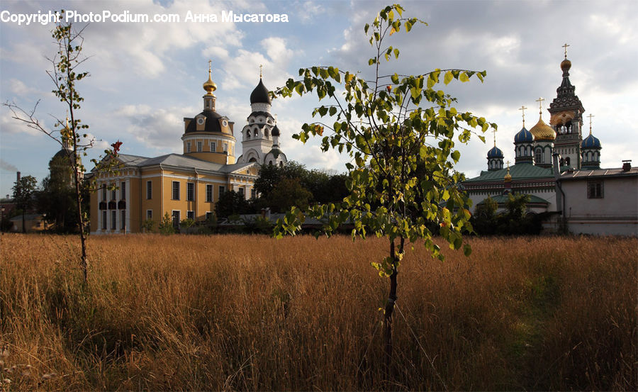 Architecture, Castle, Fort, Housing, Monastery, Dome, Church