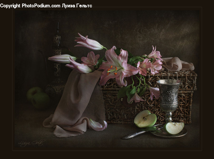 People, Person, Toilet, Human, Flower Arrangement, Ikebana, Plant