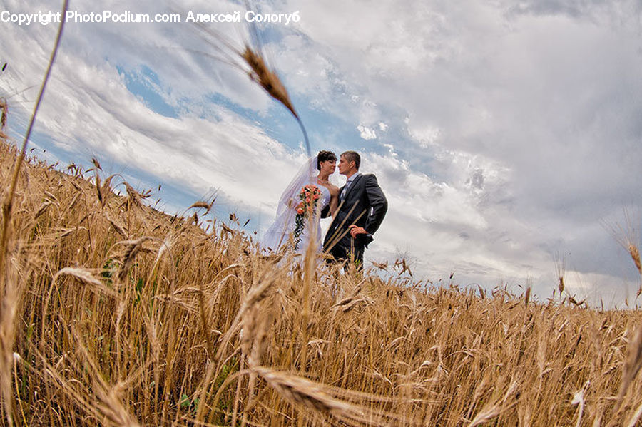 People, Person, Human, Grain, Grass, Plant, Wheat