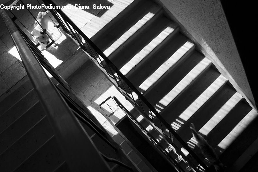 Architecture, Housing, Skylight, Window, Apartment Building, Building, High Rise