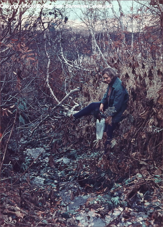 People, Person, Human, Forest, Vegetation, Grove, Land