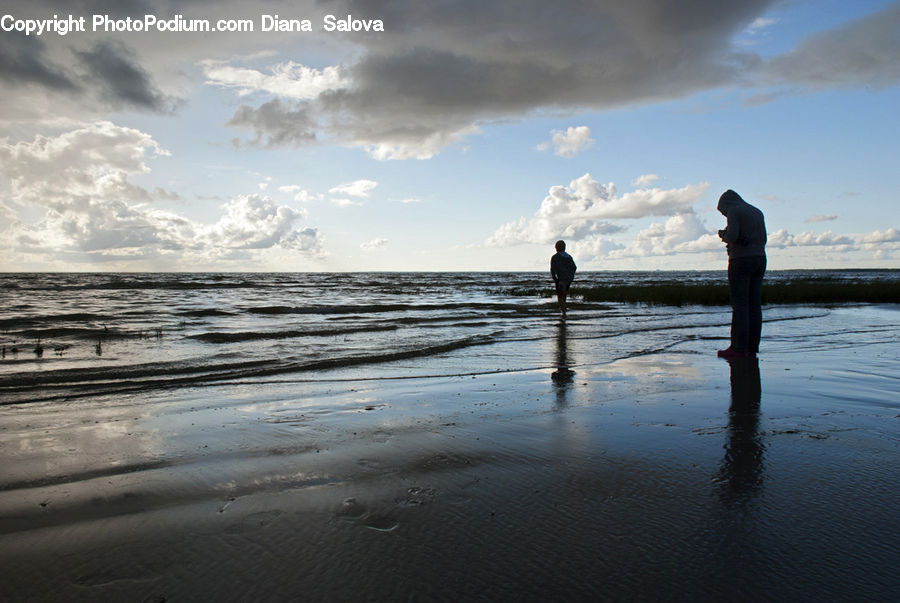 Beach, Coast, Outdoors, Sea, Water