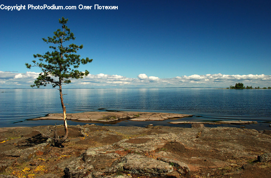 Beach, Coast, Outdoors, Sea, Water, Basin, Landscape