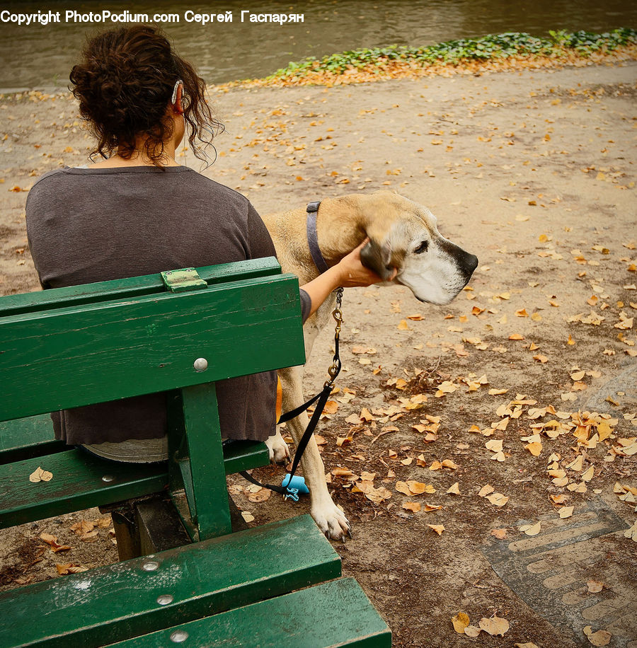 People, Person, Human, Animal, Adorable, Back, Outdoors