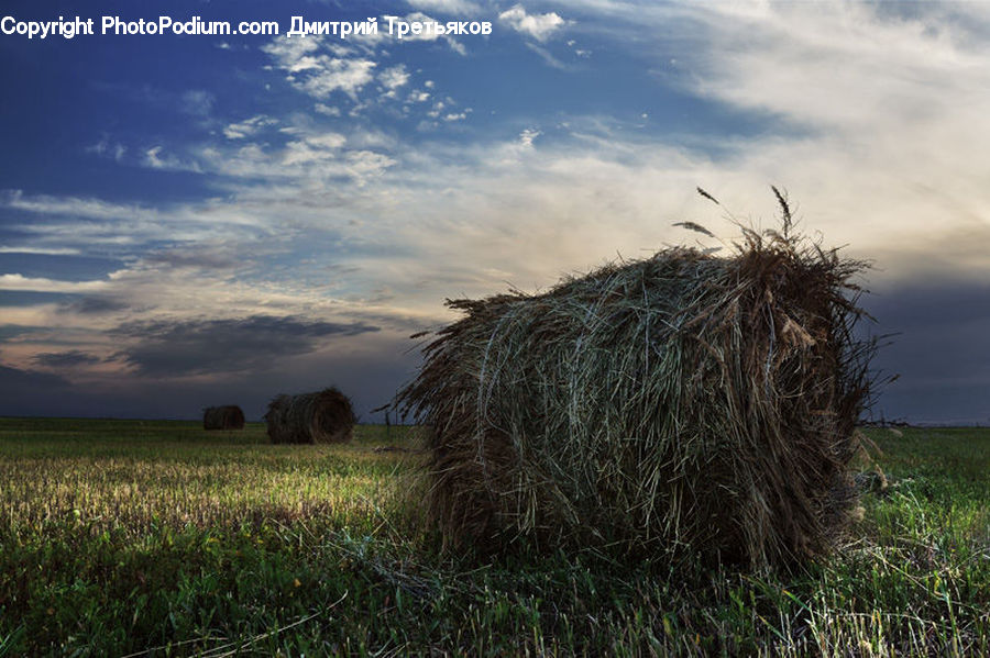 Field, Grass, Grassland, Plant, Countryside, Hay, Straw