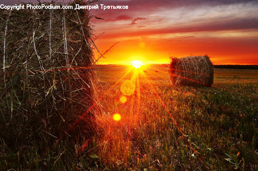 Countryside, Hay, Straw, Field, Dawn, Dusk, Sky