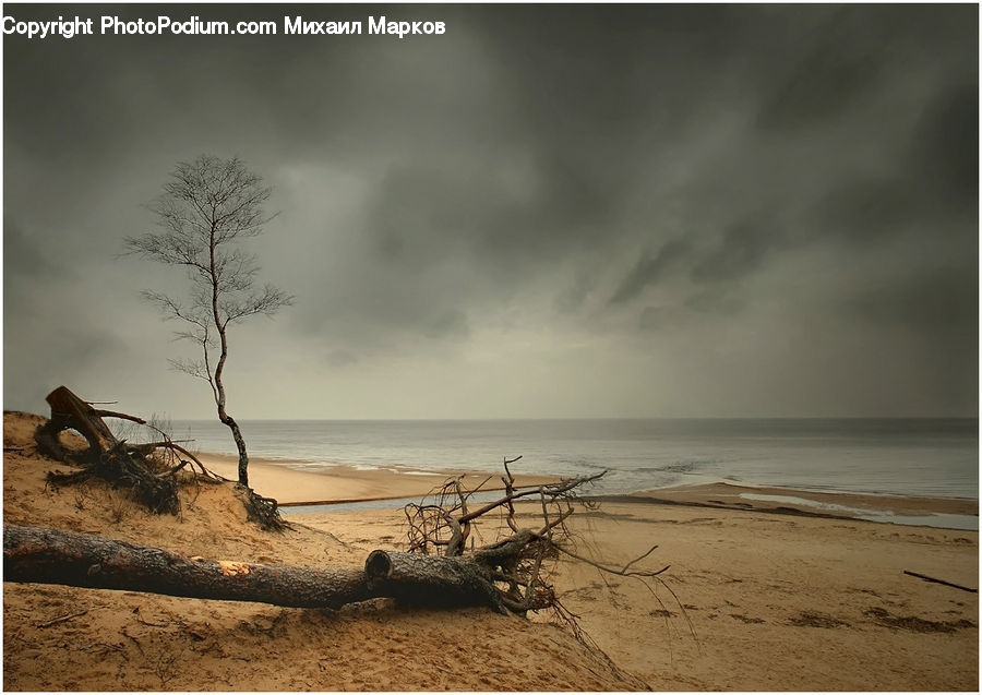 Beach, Coast, Outdoors, Sea, Water, Sand, Soil