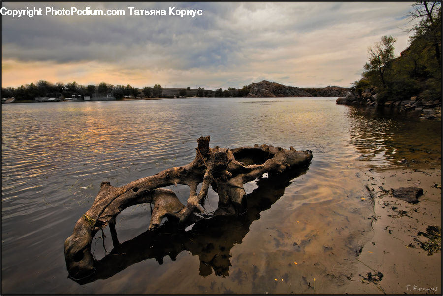 Driftwood, Wood