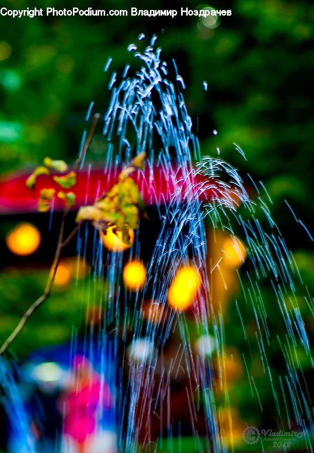 Field, Grass, Grassland, Plant, Fountain, Water, Blossom