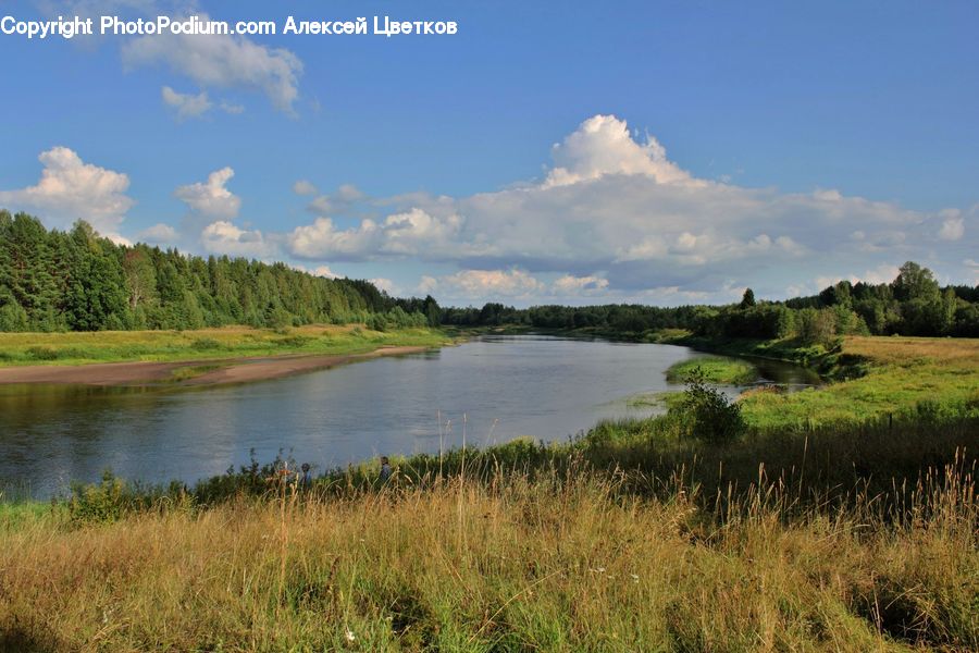 Field, Grass, Grassland, Land, Outdoors, Lake, Water