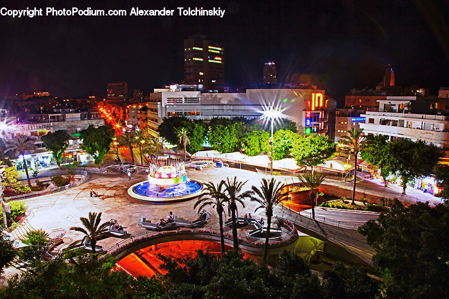 Plant, Potted Plant, City, Downtown, Metropolis, Urban, Building