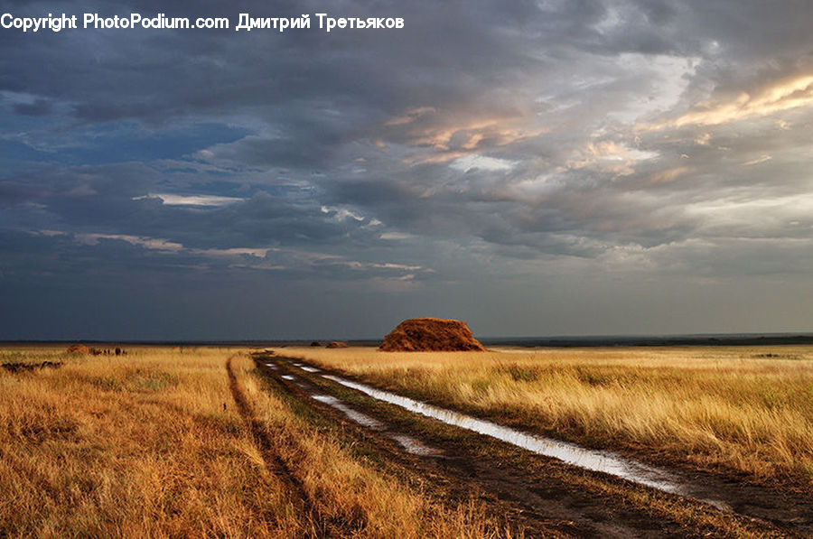 Dirt Road, Gravel, Road, Field, Grass, Grassland, Land