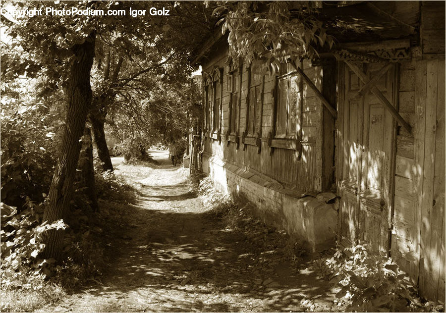 Dirt Road, Gravel, Road, Forest, Vegetation, Alley, Alleyway