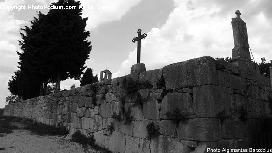 Rock, Ruins, Fence, Wall, Brick, Plant, Tree