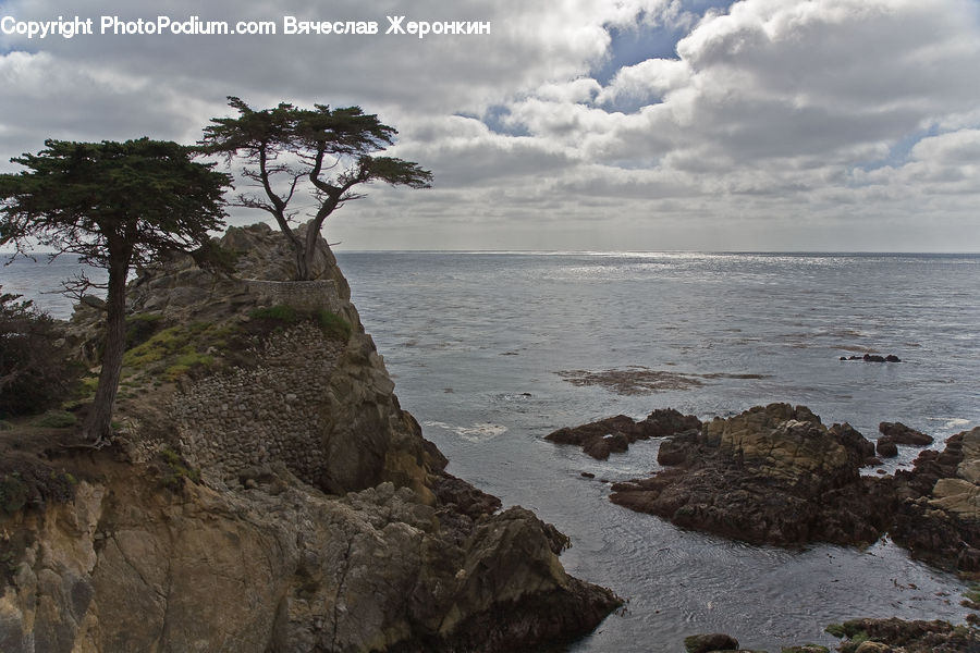 Cliff, Outdoors, Beach, Coast, Sea, Water, Plant