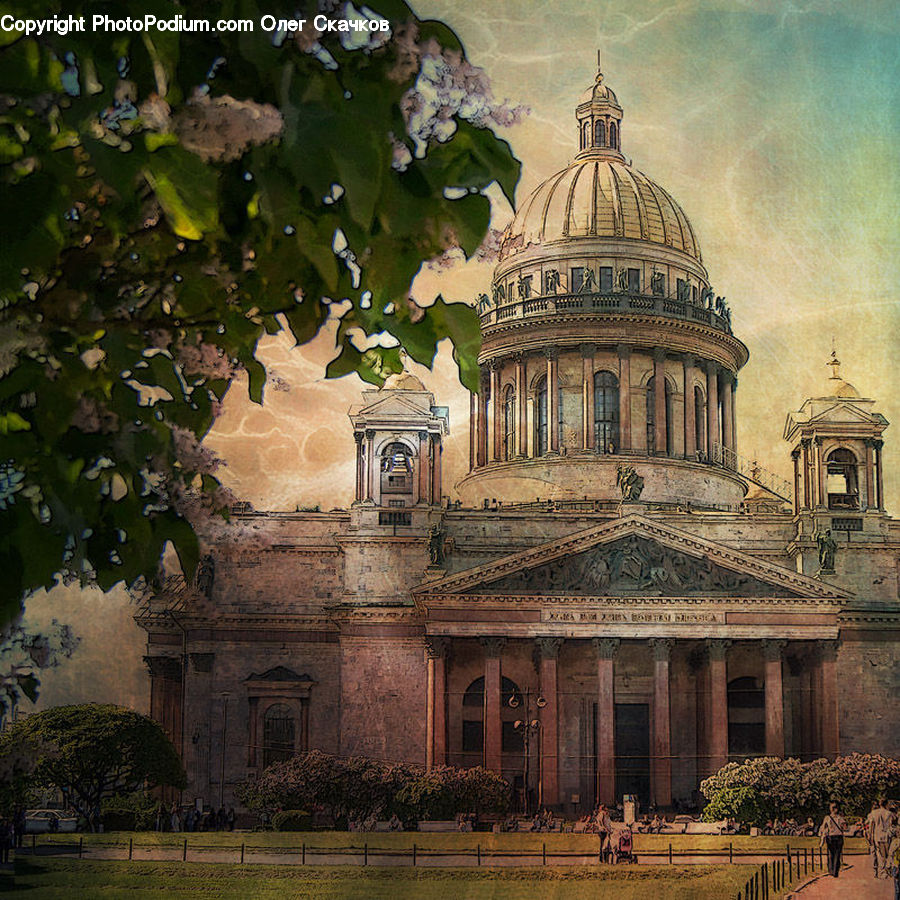 Architecture, Bell Tower, Clock Tower, Tower, Dome, Plant, Tree