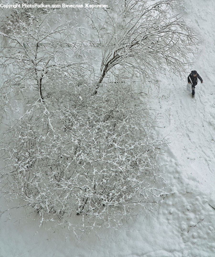 Ice, Outdoors, Snow