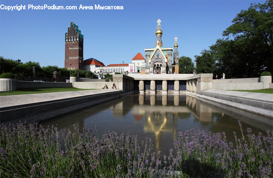 Lavender, Plant, Architecture, Shrine, Temple, Worship, Church