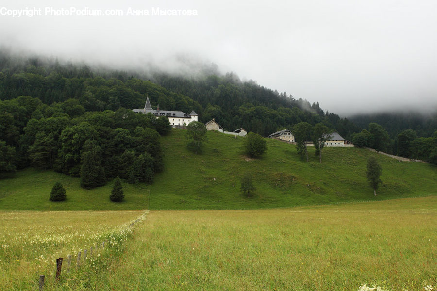 Field, Grass, Grassland, Land, Outdoors, Plateau, Plant