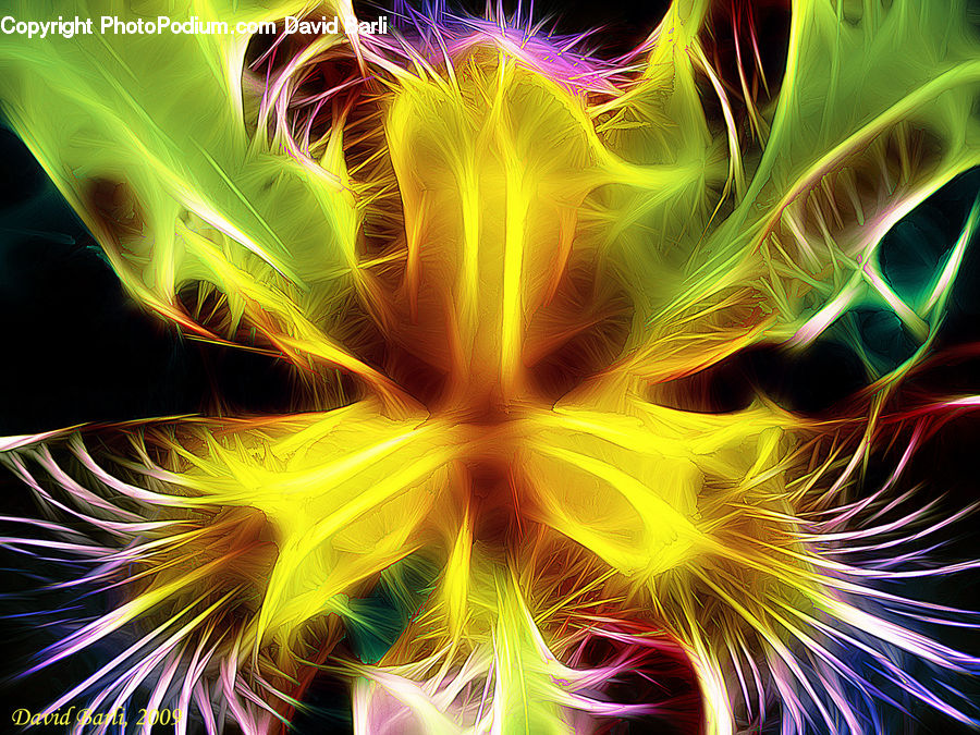 Fractal, Blossom, Flora, Flower, Plant