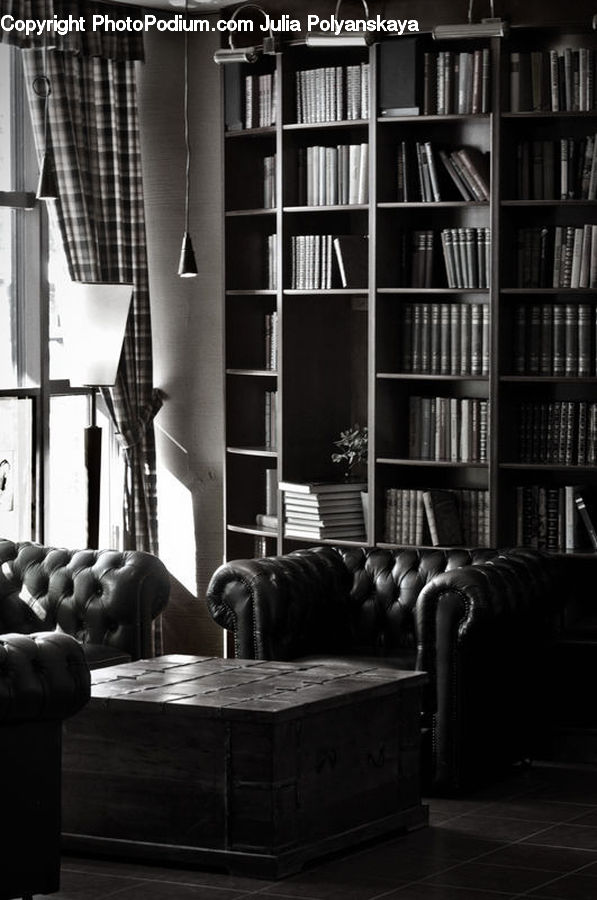 Couch, Furniture, Book, Bookcase, Shelf, Chair, Armchair
