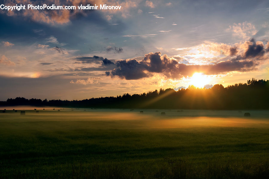 Field, Grass, Grassland, Land, Outdoors, Dawn, Dusk