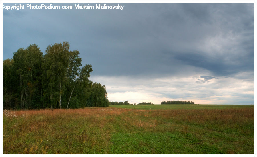 Field, Grass, Grassland, Land, Outdoors, Dirt Road, Gravel