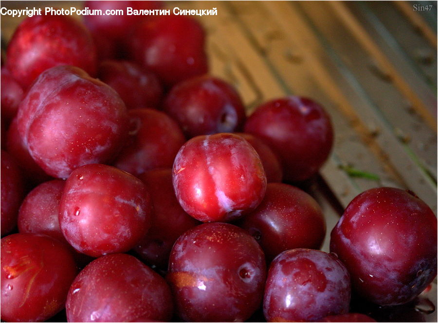 Apple, Fruit, Cherry, Plum, Grapes