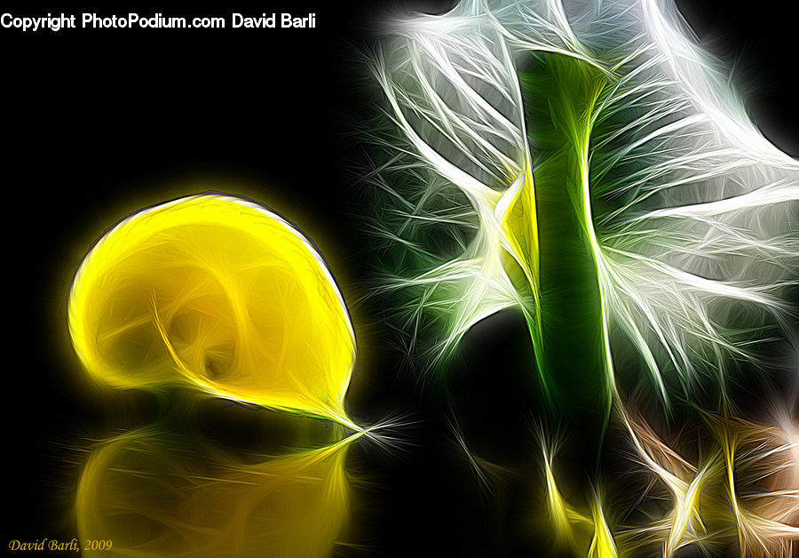 Fractal, Smoke