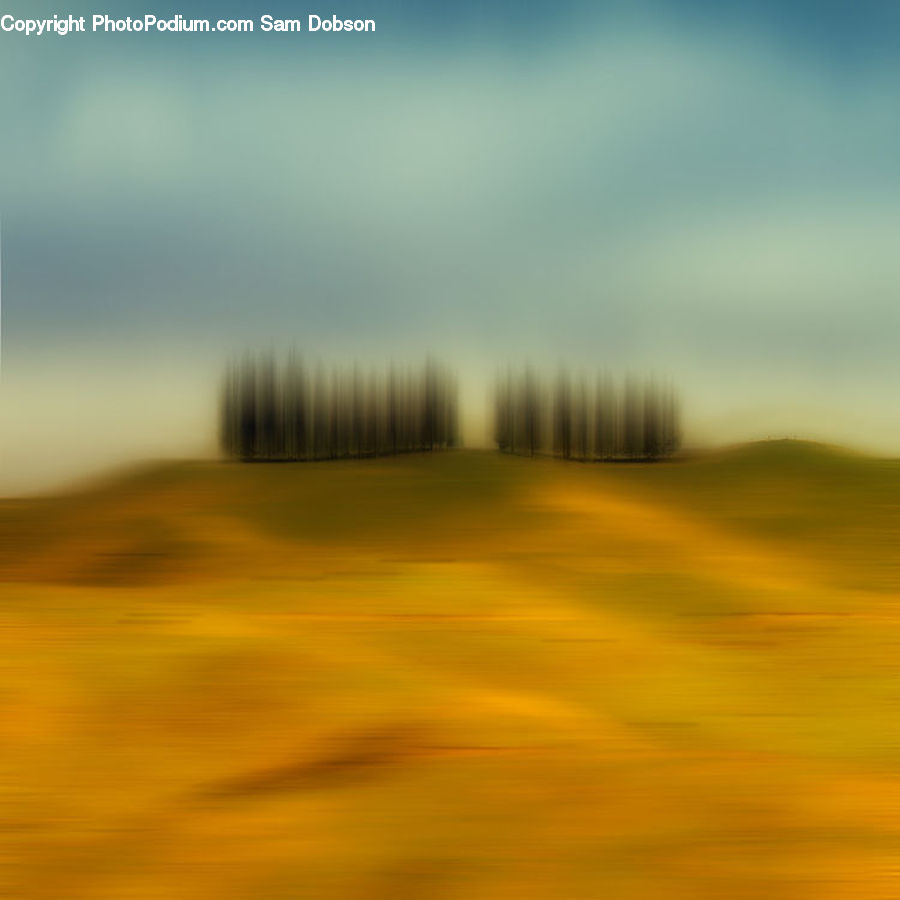 Field, Grass, Grassland, Land, Outdoors, Desert, Plant