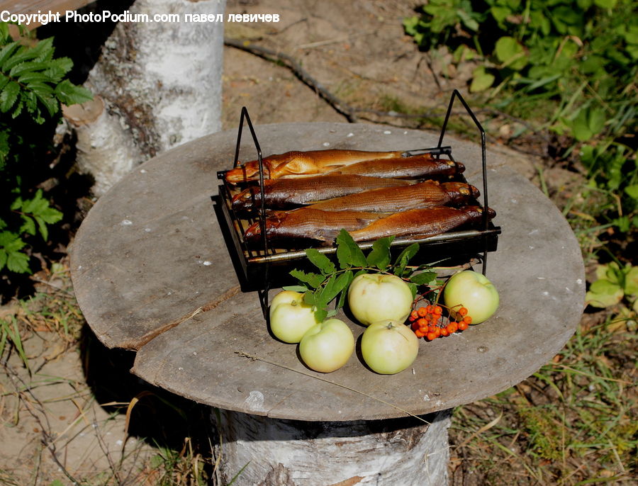 Bbq, Food, Fern, Plant, Pot, Pottery, Hole