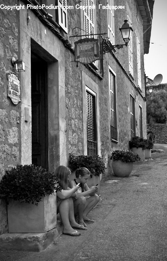 People, Person, Human, Plant, Potted Plant, Ivy, Vine