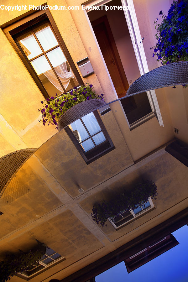 Plant, Potted Plant, Balcony, Architecture, Housing, Skylight, Window