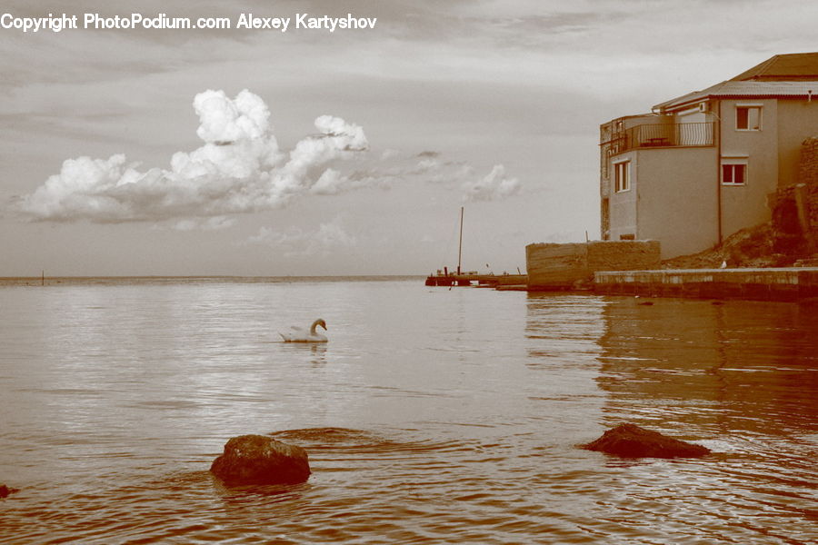 Boat, Watercraft, Flood, Outdoors, Sea, Water, Hotel