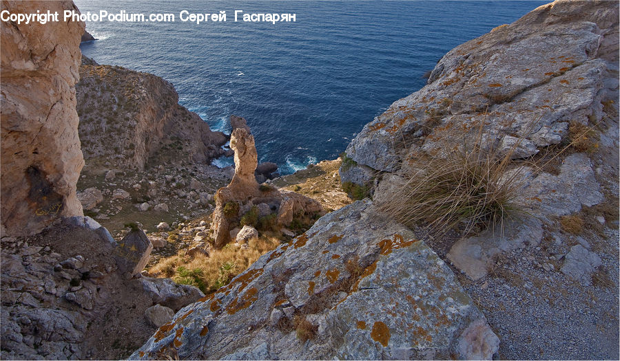 Cliff, Outdoors, Rock, Coast, Sea, Water, Animal