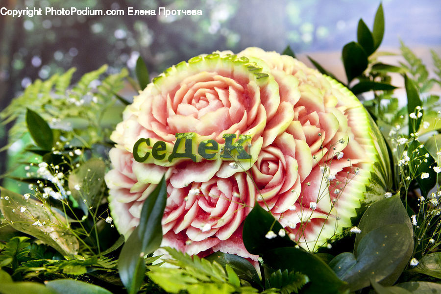 Blossom, Flower, Plant, Rose, Produce, Vegetable, Flower Arrangement